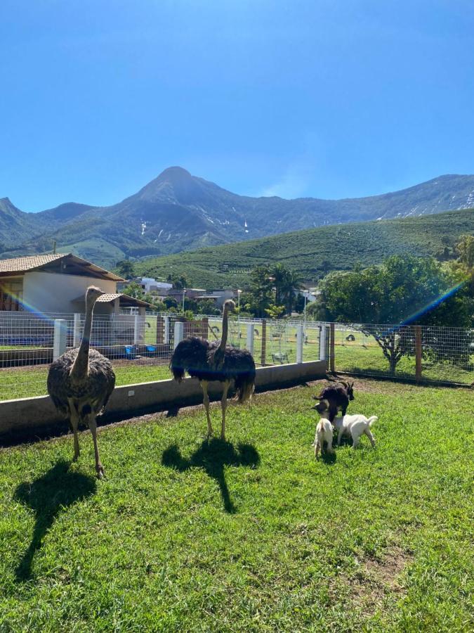 Pousada Rancho Na Serra Espera Feliz Exteriér fotografie
